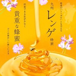 九州レンゲ蜂蜜