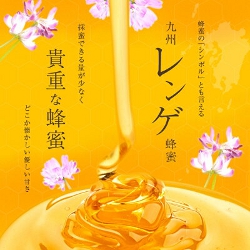 九州レンゲ蜂蜜